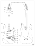 Fender Stratocaster 0137002 User's Manual