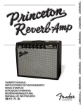 Fender Reverb Amp '65 Princeton User's Manual
