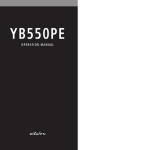 Eton YB550PEO User's Manual
