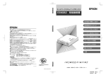 Epson ESNSB2 User's Manual