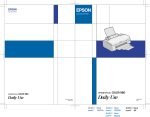 Epson COLOR 980 User's Manual