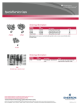 Emerson Special Service Caps Brochures and Data Sheets