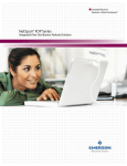 Emerson NetSpan FDP Series Brochures and Data Sheets