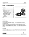 Emerson Fisher V250 Instruction Manual