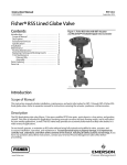 Emerson Fisher RSS Instruction Manual