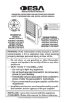 Desa LSFG20NT User's Manual