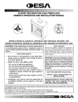 Desa VM42(B User's Manual