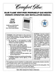 Desa CG10P User's Manual