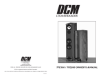 DCM Speakers TFE100 User's Manual