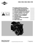 Briggs & Stratton Digital Camera 133200 User's Manual