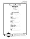 Briggs & Stratton 28W700 User's Manual