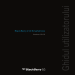Blackberry STL100-1 User's Manual