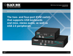 Black Box 26611 User's Manual