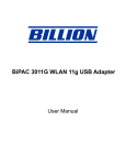 Billion Electric Company BIPAC 3011G User's Manual