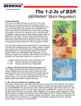 Bernina Regulator User's Manual