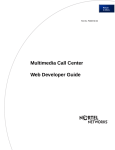 Avaya Multimedia Call Center User's Manual