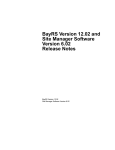 Avaya BayRS Version 12.02 and Site Manager Software Version 6.02 Release Notes