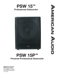 American International PSW 15TM User's Manual