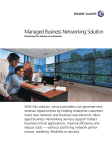 Alcatel-Lucent Managed Business Network User's Manual