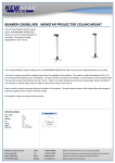 Newstar BEAMER-C500SILVER project mount