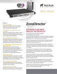 Ruckus Wireless ZoneDirector 3000