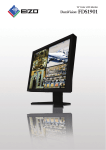 Eizo FDS1901