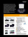 Sony SNC-RS44P + SNCA-HPOE1