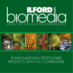 Ilford Display Film 300 61cm x 30.5m
