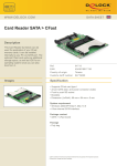 DeLOCK SATA/CF