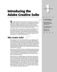Wiley Adobe Creative Suite 2 Bible