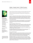 Adobe Creative Suite 5.5 Web Premium, Win