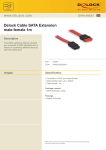 DeLOCK 1m SATA Cable