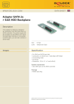 DeLOCK SATA 2x Adapter