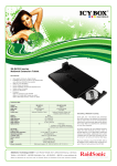 Raidsonic IB-DK210 storage enclosure