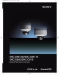 Sony SNC-DS10 Mini-Dome 3.6x Zoom, PoE, MPEG-4/JPEG IP Camera