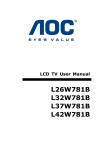 AOC L19W851B 19" Black LCD TV