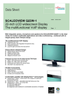 Fujitsu SCALEOVIEW Series Q22W-1