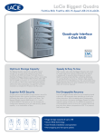 LaCie Biggest Quadra Spare Drive 500GB