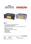 Sangean Clock Radio RCR-2