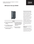 IBM System Storage & TotalStorage DS4800 model 82