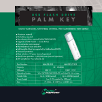 MicroMemory PALM KEY 128MB to USB 1.1