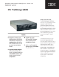 IBM Total Storage DS300 - Dual Controller