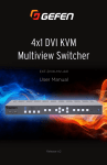 Gefen EXT-DVIK-MV-41 KVM switch