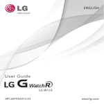 LG W110