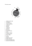 Ices ICRP-212