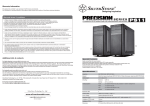 Silverstone PS10