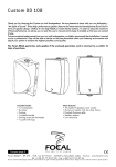 Focal Custom OD 108