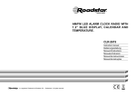 Roadstar CLR-2619