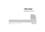 Roadstar CLR-2615