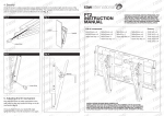 Raw International PT2 flat panel wall mount